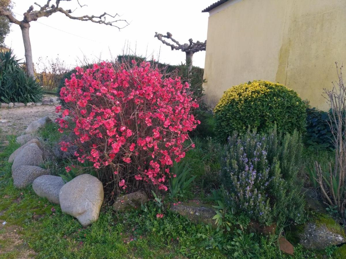 Casa Rural "Can Abres" Vilobi D'Onyar Girona Vilovi de Onar ภายนอก รูปภาพ