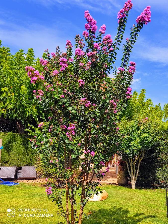 Casa Rural "Can Abres" Vilobi D'Onyar Girona Vilovi de Onar ภายนอก รูปภาพ